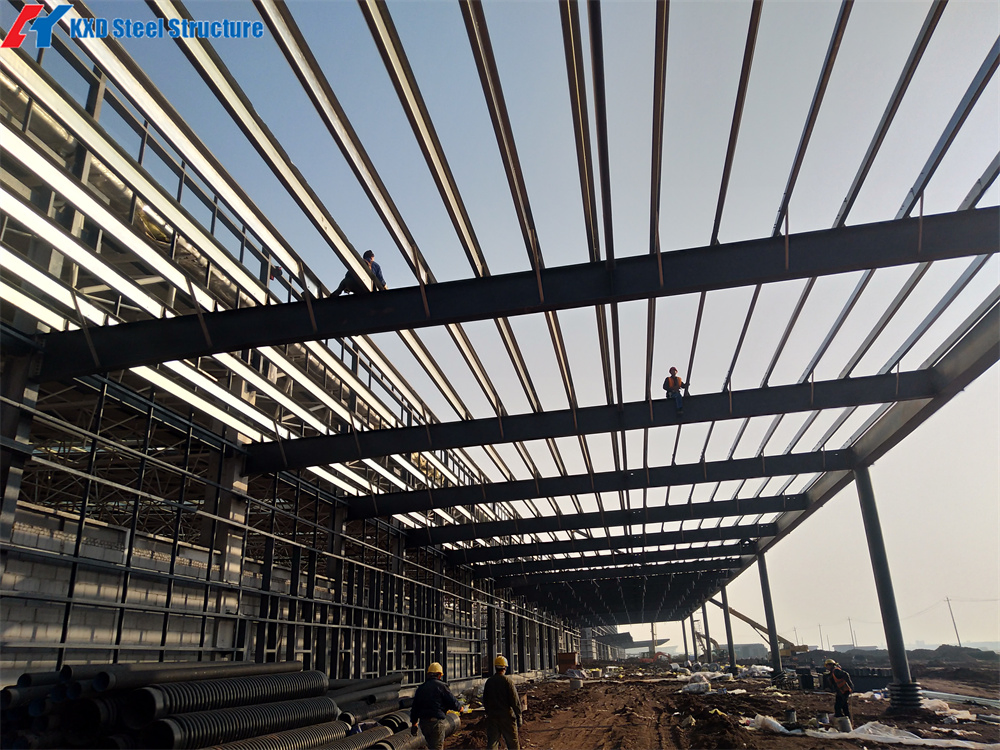 Prefabricated Farm Light Shed Structure Construction Steel Storage