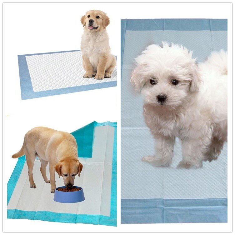 Disposable Pet Training Pads Puppy Under Pads Size 60*60cm