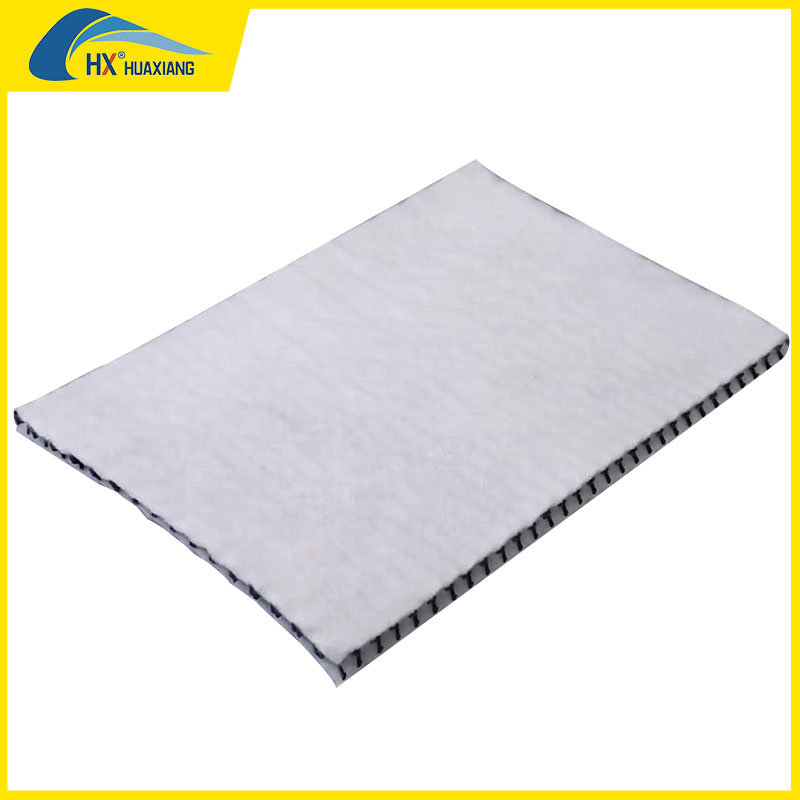 Hx Chinese Factory with Food Price Road Base 3D Composite Drainage Net for Road Construction 200g