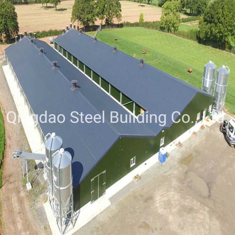 Prefab Steel Structure Poutlry Farm with Great Price