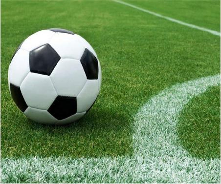 Artificial Football Grass Synthetic Turf