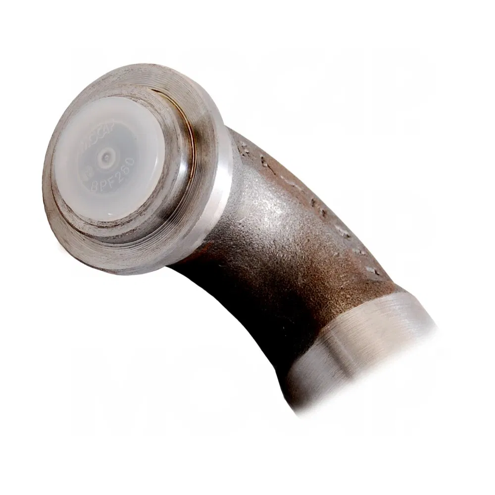 Black White Round Pipe Hose Insert Plug Blind Blanking Plastic Hole Cover PVC PE End Plug (BPF)