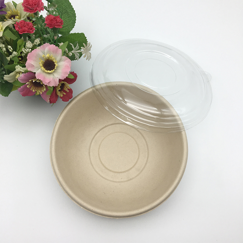 Biodegradable Sugarcane Take Away Hot Soup Salad Bowl Match with Lid