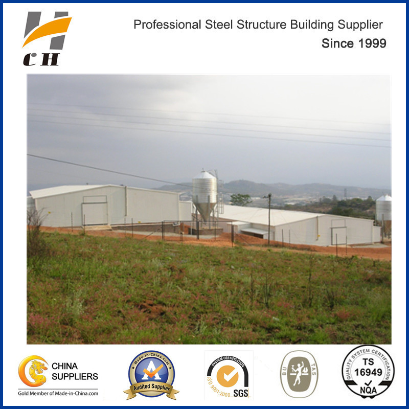 Steel Structure Chicken Poultry Building