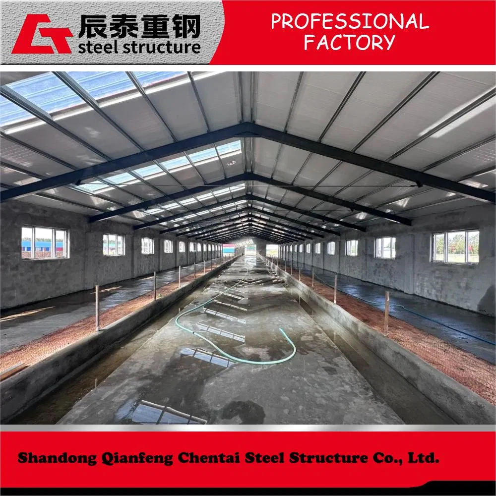 High Quality Prefabricated Steel Structure Poultry Construction for Chicken and Cow Shed