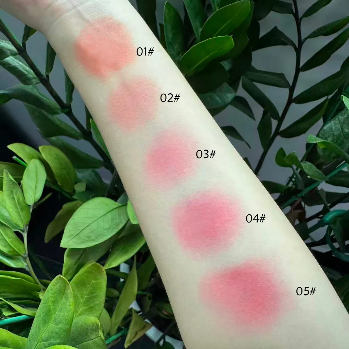 Pink Mineral Liquid Blush Vegan Long Lasting Cute Private Label Blush