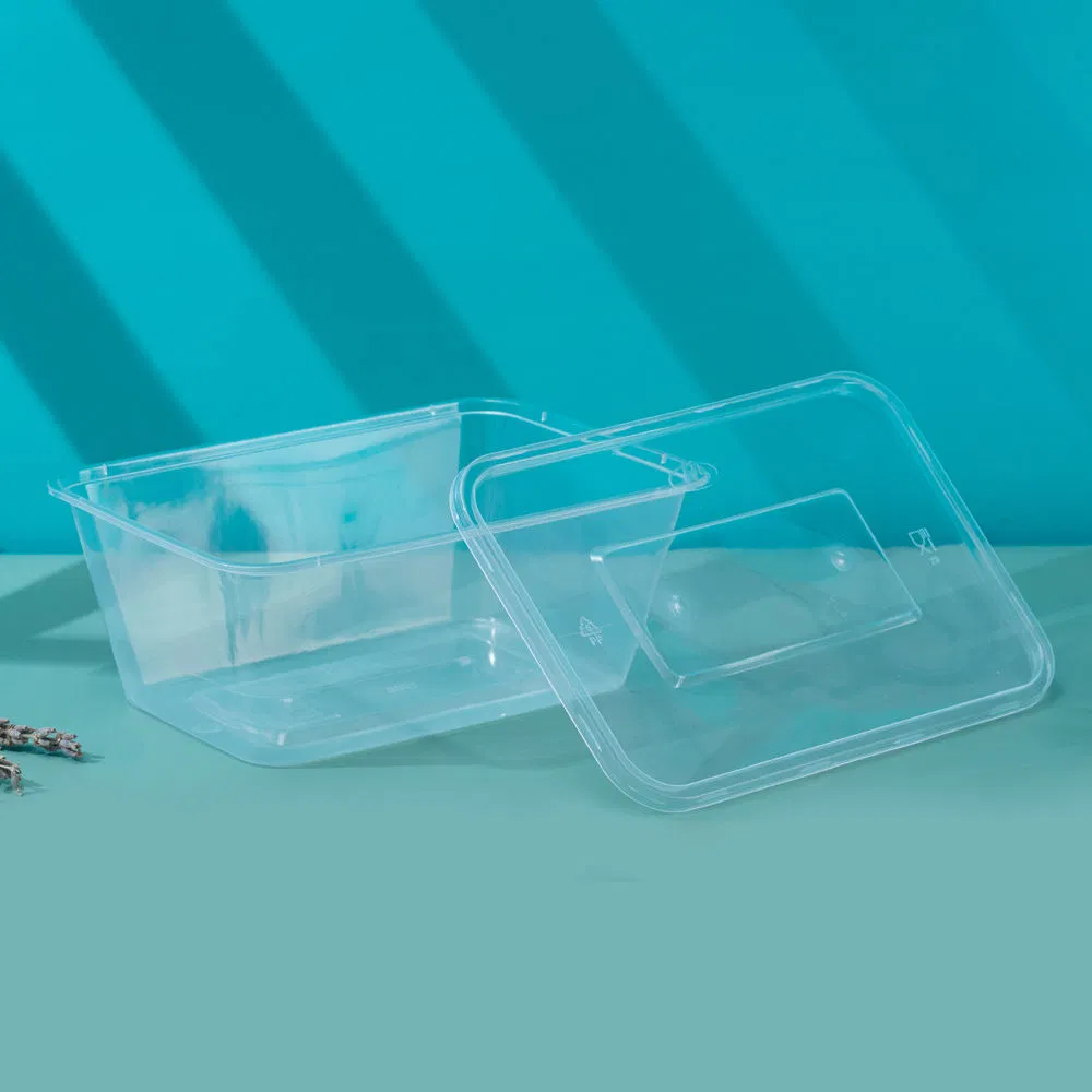 Fast Food to Go Box Delivery Pack Meal Prep Containers Microwaveable Disposable Rectangular PP Containers