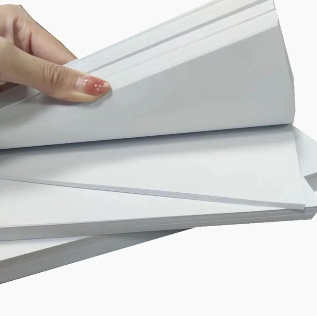 Paper Cup Raw Material Sheet Paper PE Coated 160g 210g 260g