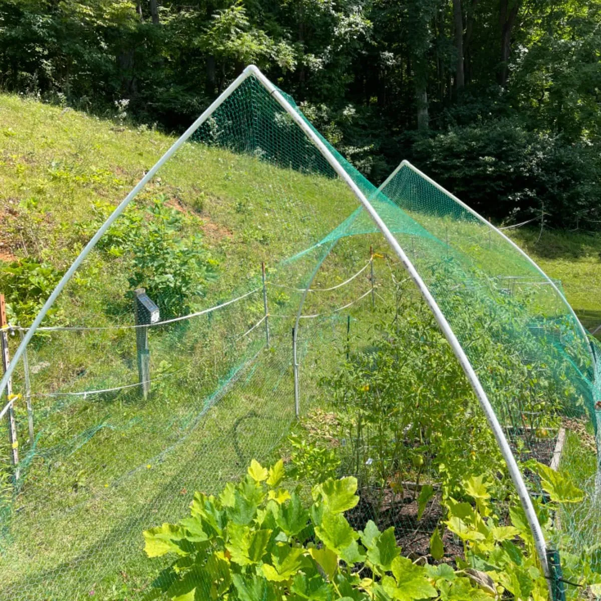 Plastic Trellis Netting for Birds, Deer, Squirrels