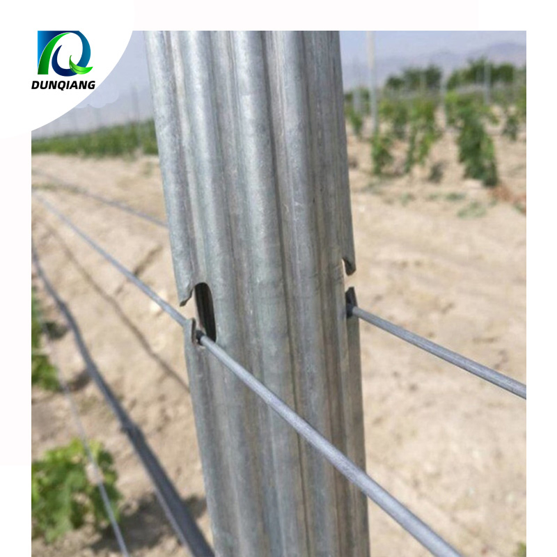Customized Powder Coated Steel Vineyard Post Heavy Duty Open Gable Trellis End Post Hot Dipped Galvanized Grape Stake Orchard Support Plant Pole Use in Farm