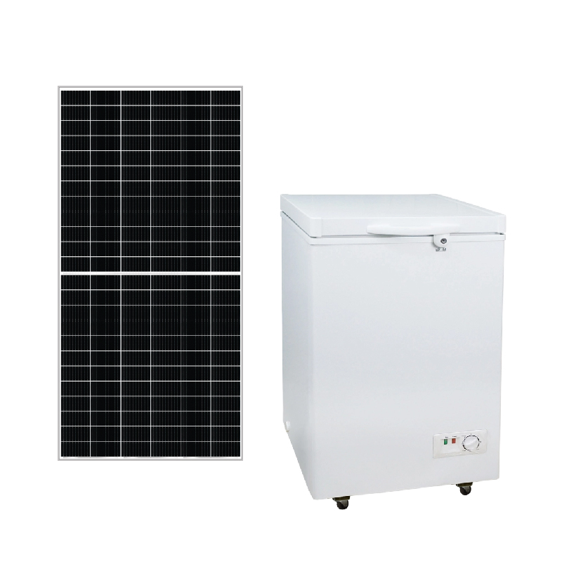 Supermarket Backup Refrigeration Low-Consumption Solar Chest Inverter Freezer