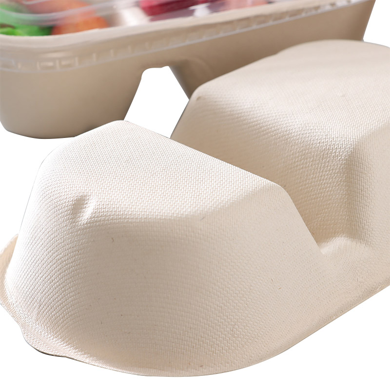 2 Comp. Sugarcane Bagasse Takeaway Lunch Box Disposable Biodegradable Food Container