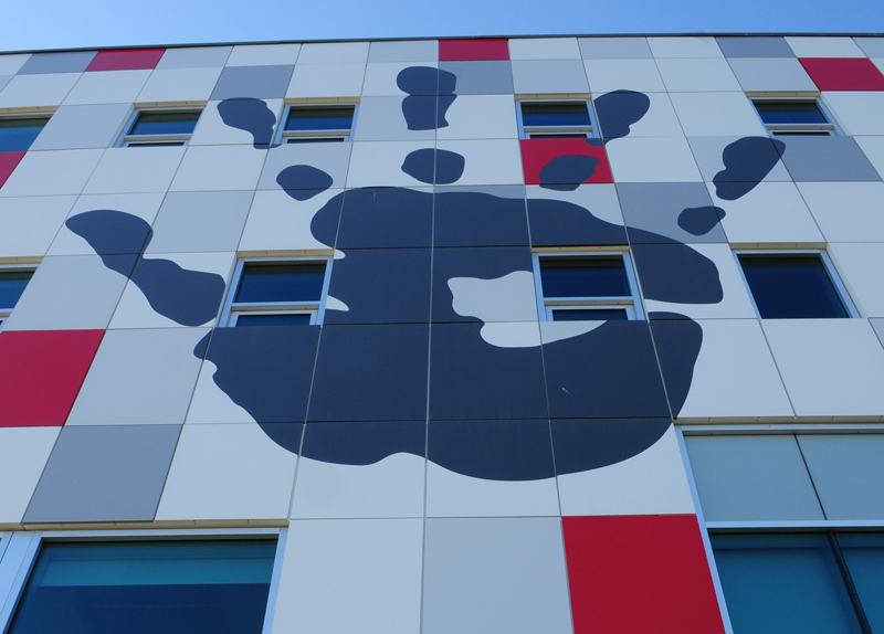 Colorful Decorative Material Aluminum Composite Panel ACP Acm