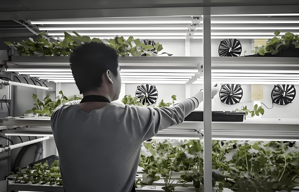 40FT Vertical Hydroponic Growing Farming Container Plant Factory Shipping Container with Intelligent Control System