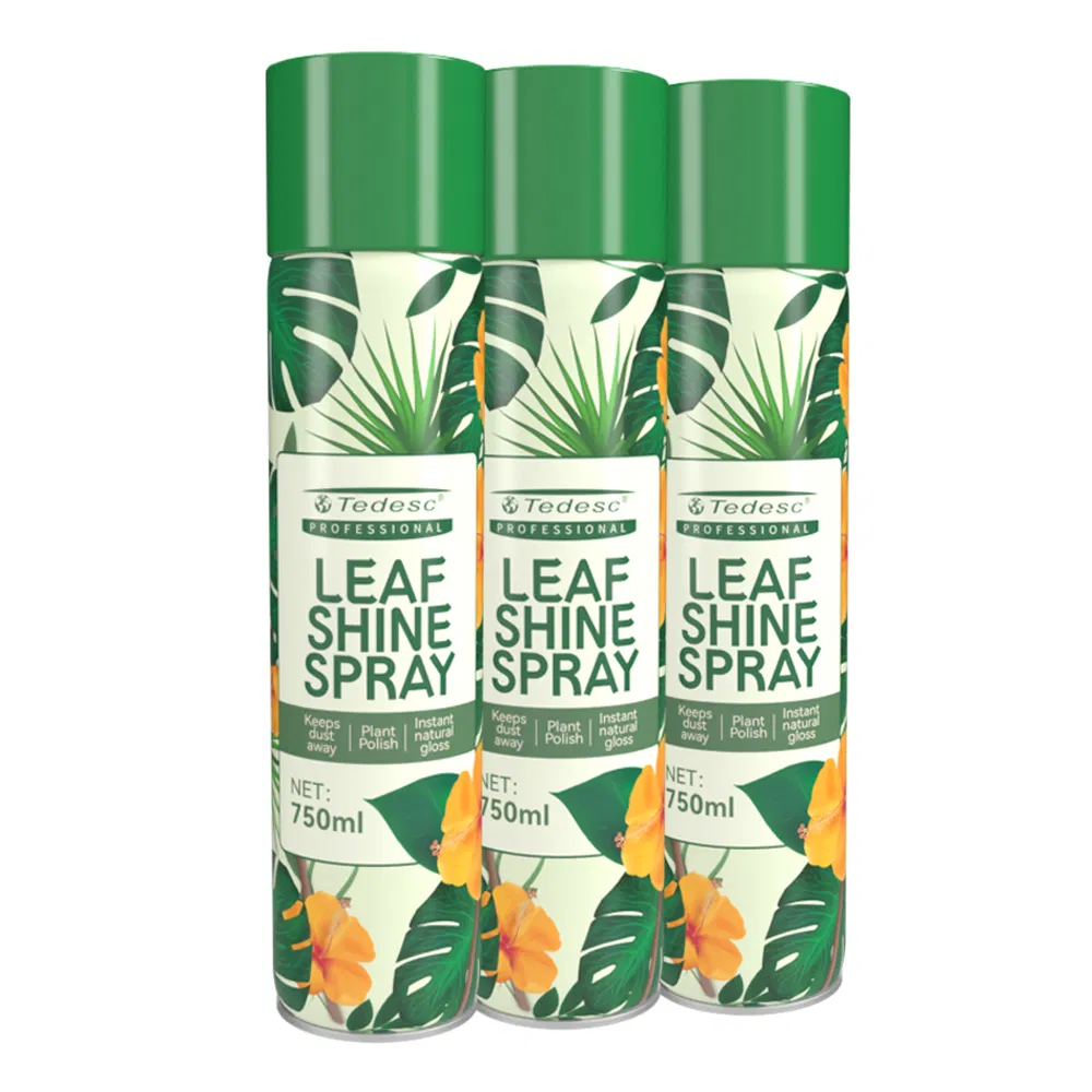 OEM Aerosol Leaf Shine Spray for Indoor Plants Non Toxic Natural Leaf Polishing Spray