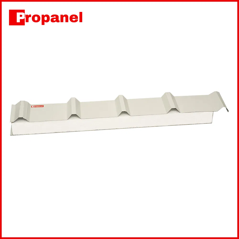 Insulated EPS/PU/PIR Sandwich Roof Panels for Cleanroom Modular Systems