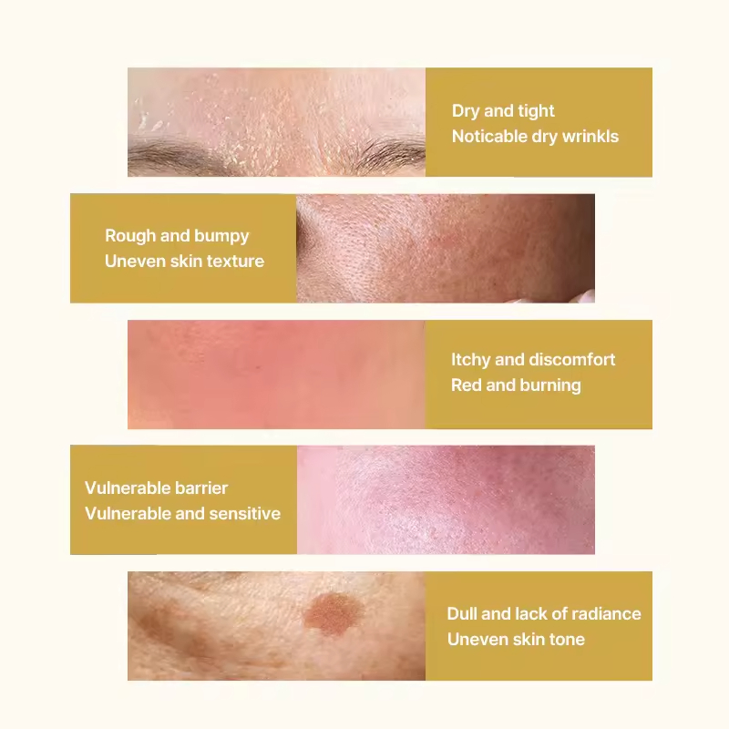Organic Collagen Elasticity Firming Lightening Skin Lift Softening Effect Facial Essence Face Toner
