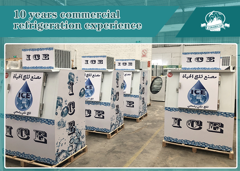 Ice Merchandiser Machine Outdoor Solid Door 120 Bagged Storage Bin Container Freezer