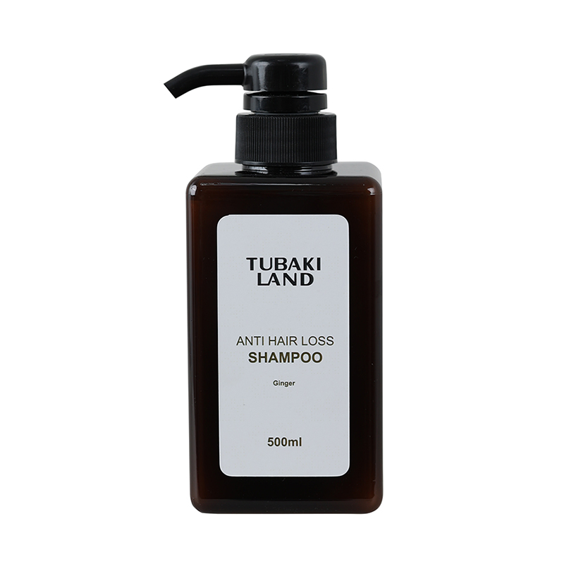 Private Logo OEM Ocean Scent 2 in 1 Hair Shampoo Conditioner 400ml Manufacturer