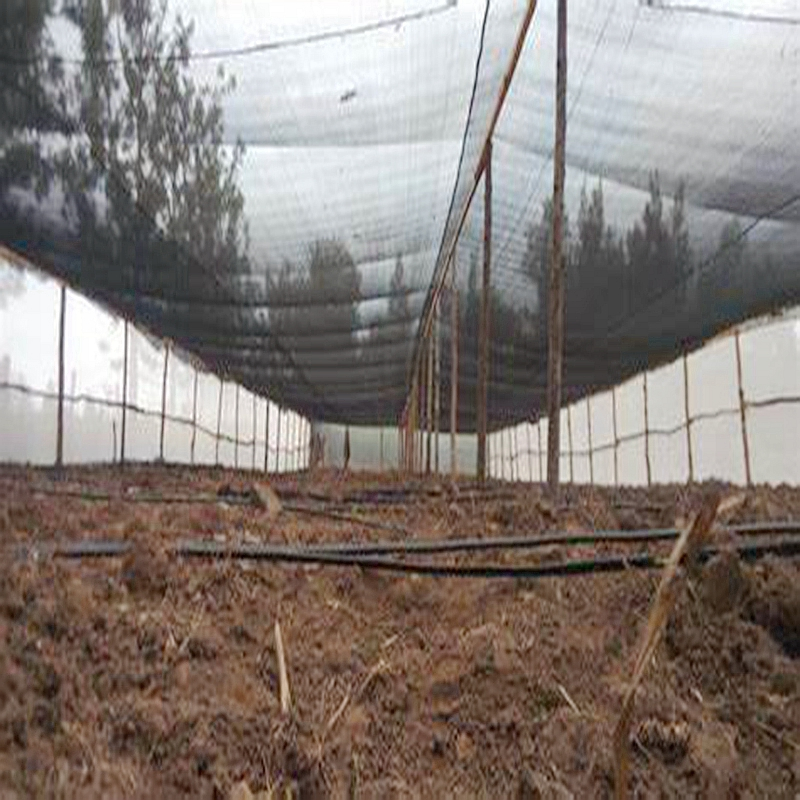 HDPE UV 45gram 50 Gram 60 Gram 70 Gram Greenhouse Agriculture Anti Hail Net