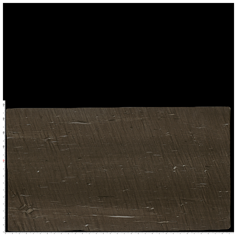 Leathered Cygnus /Brown Silk /Beauty Musk Exotic Quartzite for Wall and Countertops