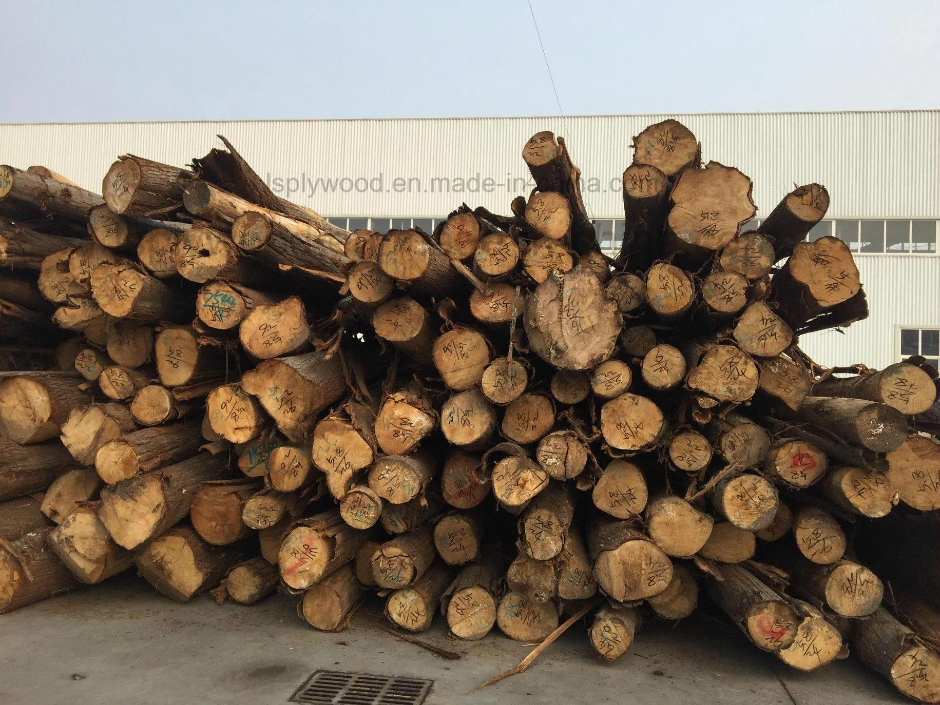 Environment Water Proofer E1 Grade Melamine Plywood