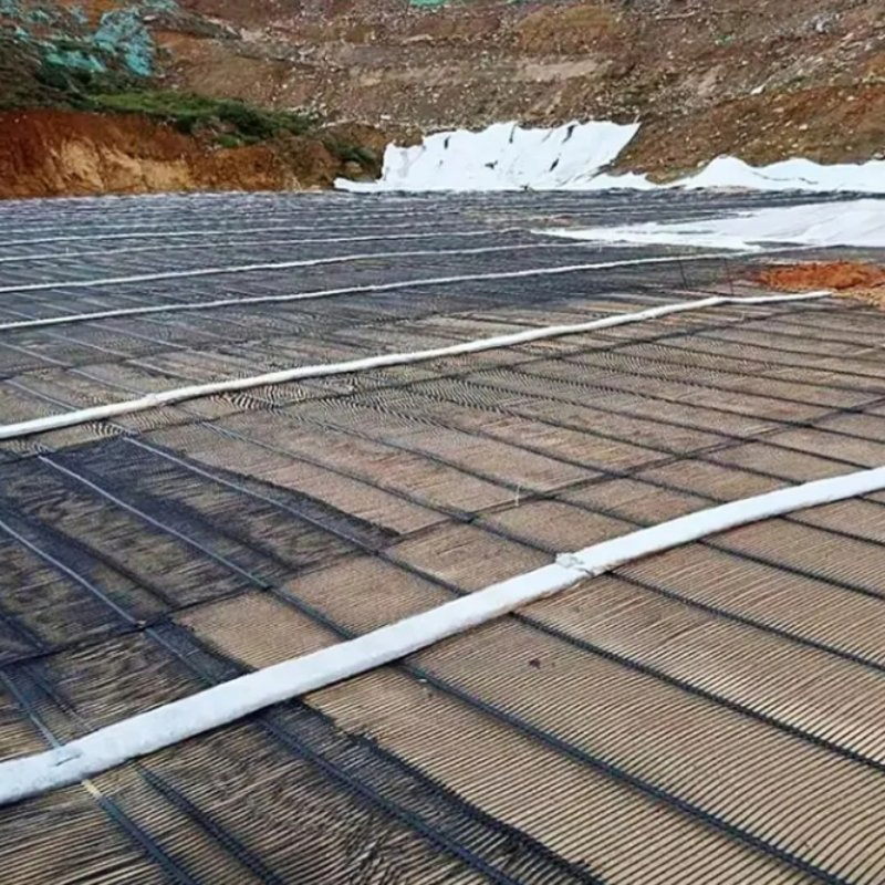 High Density Polyethylene Steel Plastic Geogrid for Soft Ground Reinforcement Polyester Driveway