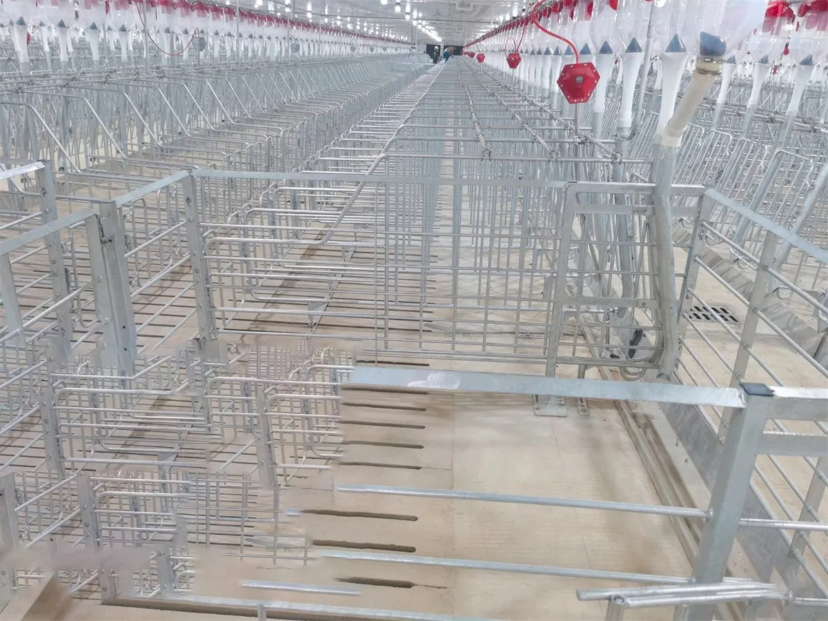 Farm Fences Fences for Single Pigs