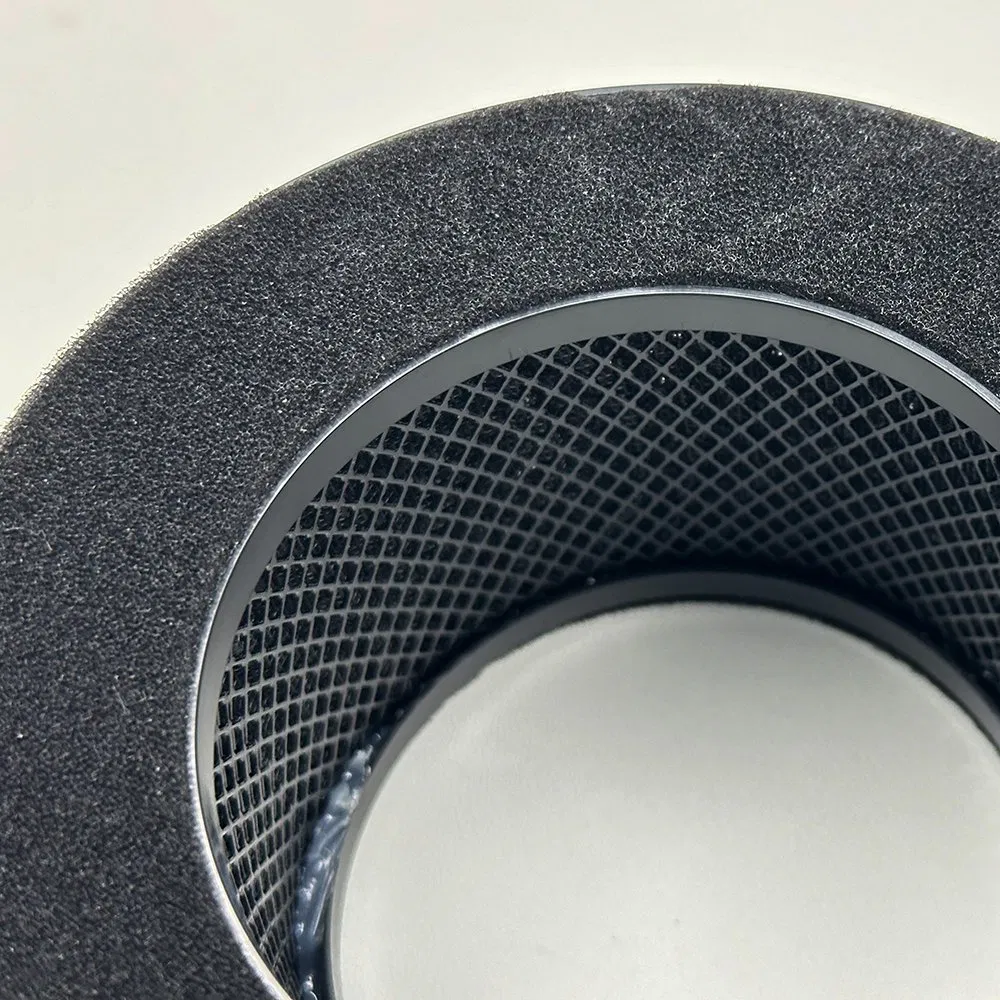 in Stock BS-01 True HEPA Replacement Filter Compatible with Slevoo BS-01 Air Purifier Part BS01