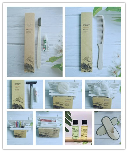 Shampoo with Conditioner in Bottle 42 for Hotel Amenities