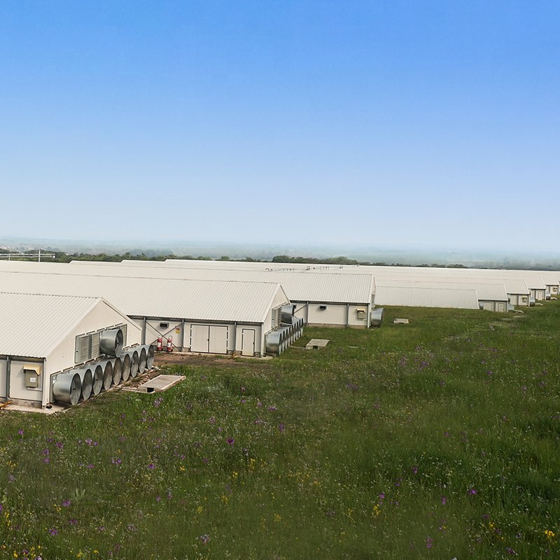 Prefabricated H Beam Prefab House Steel Small Poultry House From China