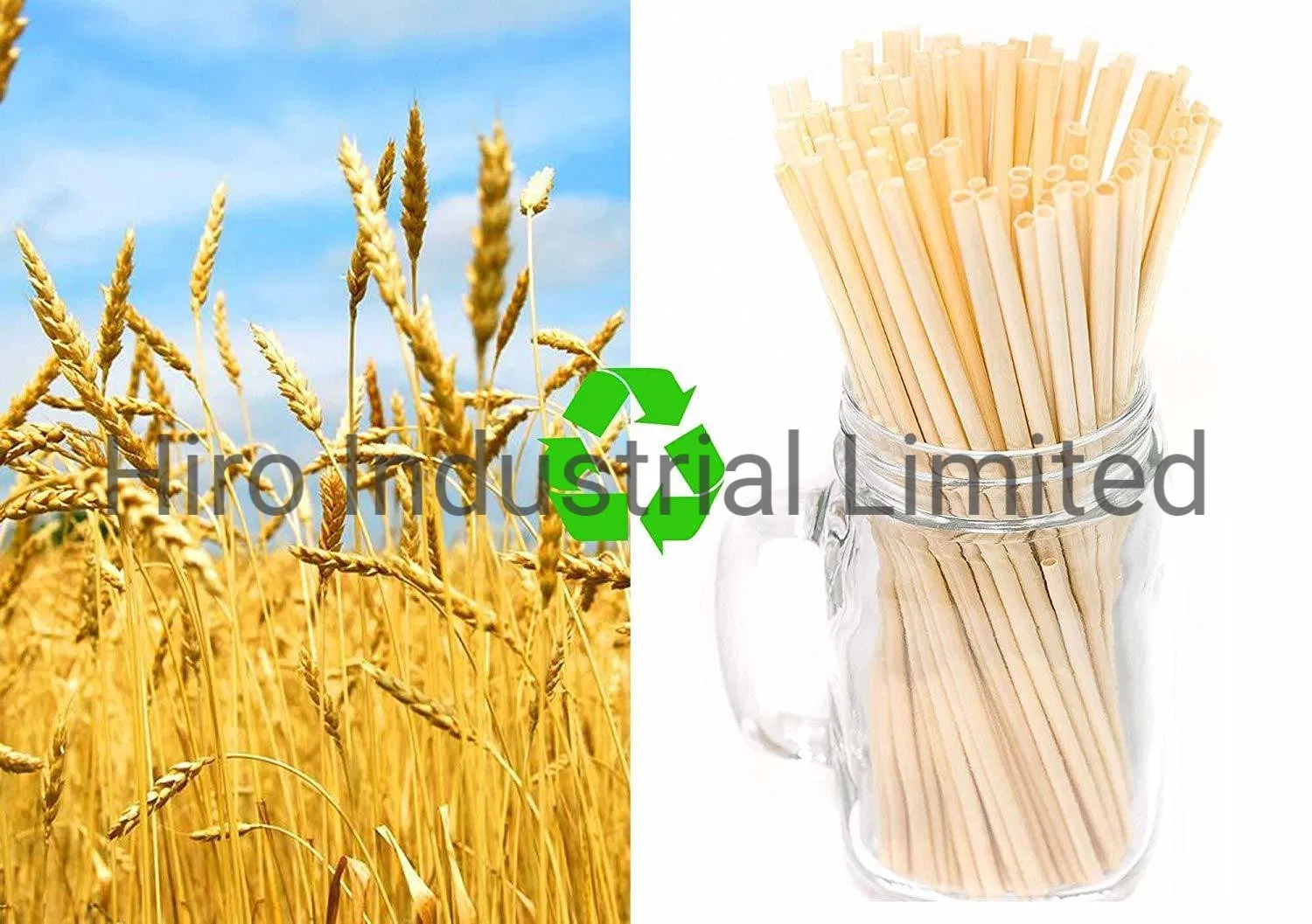 100% Nature Biodegradable Disposable Cocktail Drinking Straw Wheat Straw