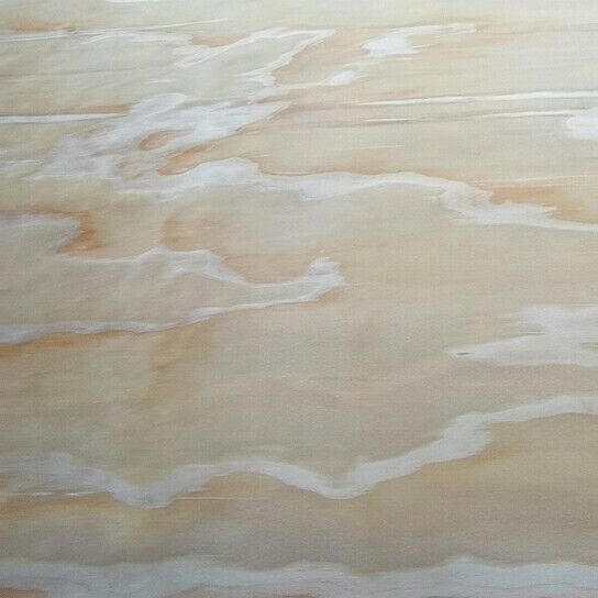 Dry Grade a 0.5mm Rotary Cut New Zealand Radiata Pine Wood Face Veneer Without Nut for Furniture