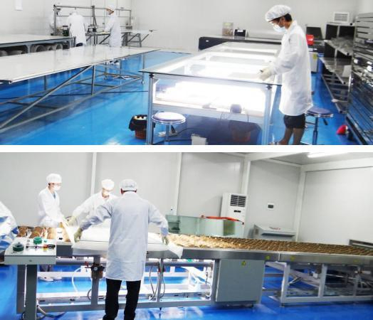 Electronic Switchable Self Adhesive Smart Glass Film Pdlc Smart Film