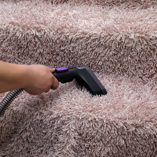 Portable Handheld Electric Pet Spot Wet and Dry Fabric Carpet Sofa Cleaning Machine Carpet Vacuum Stain Spot Cleaner