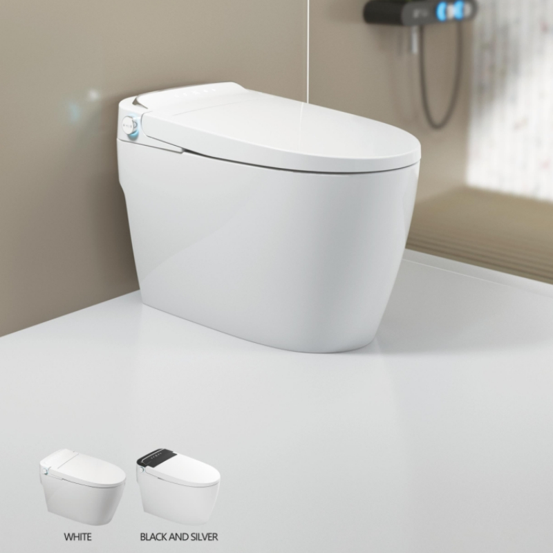 Very Fashionable Smart Toilet Ceramic Remote Control Intelligent Toilet Seat