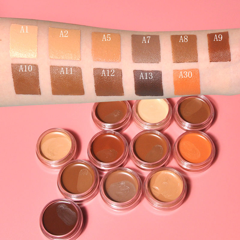 11 Colors Full Coverage Private Label High Quality Professional Makeup Concealer