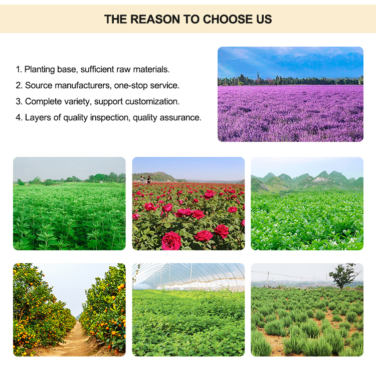 Aromatherapy Sweet Orange Body Perfume Set for Relaxation