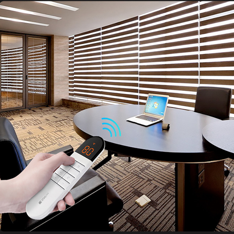 Motorized Zebra Blinds for Living Room