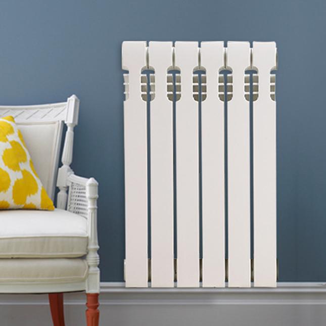 Corrosion Resistance Energy Efficiency Cast Iron Radiator