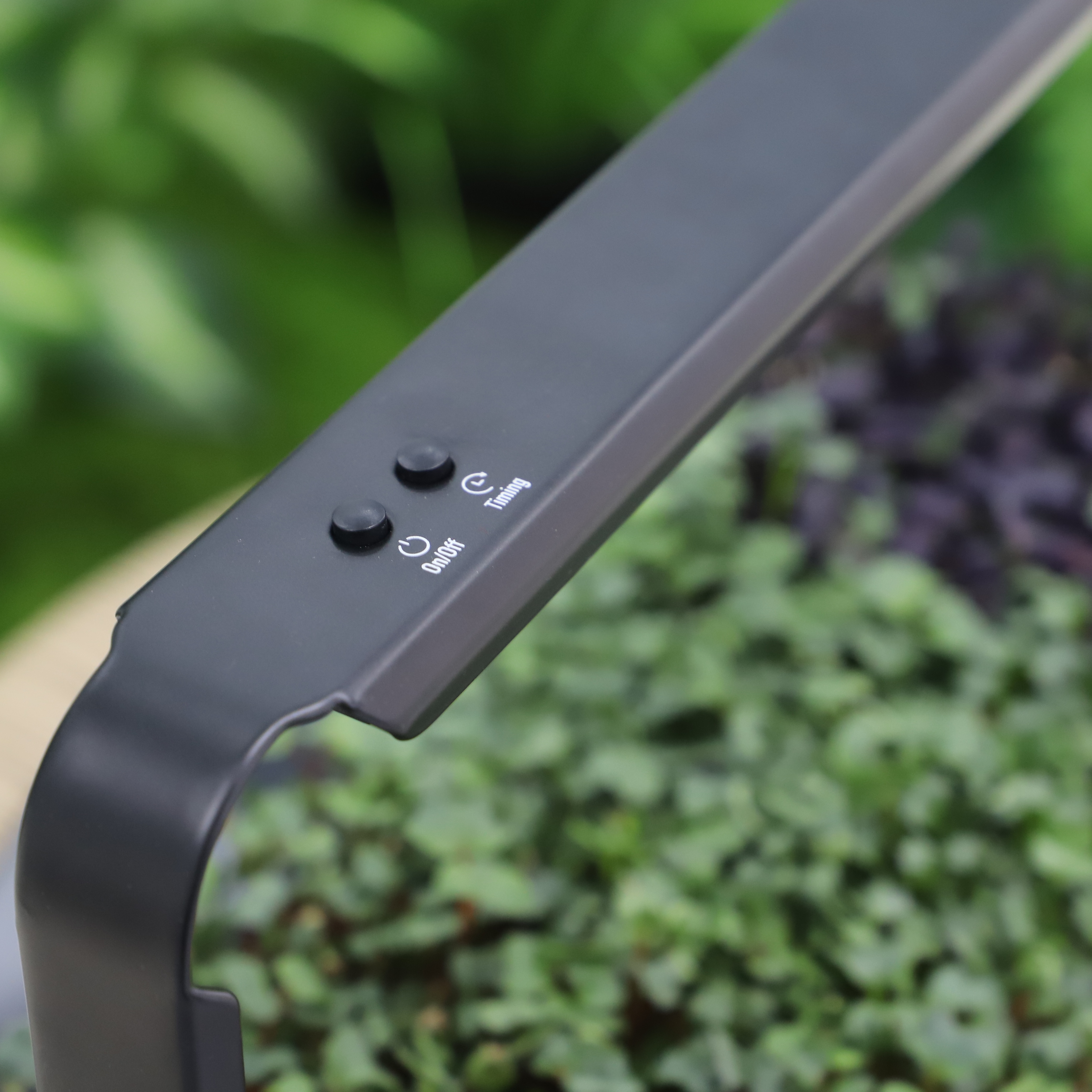 Гидропонная система для растений