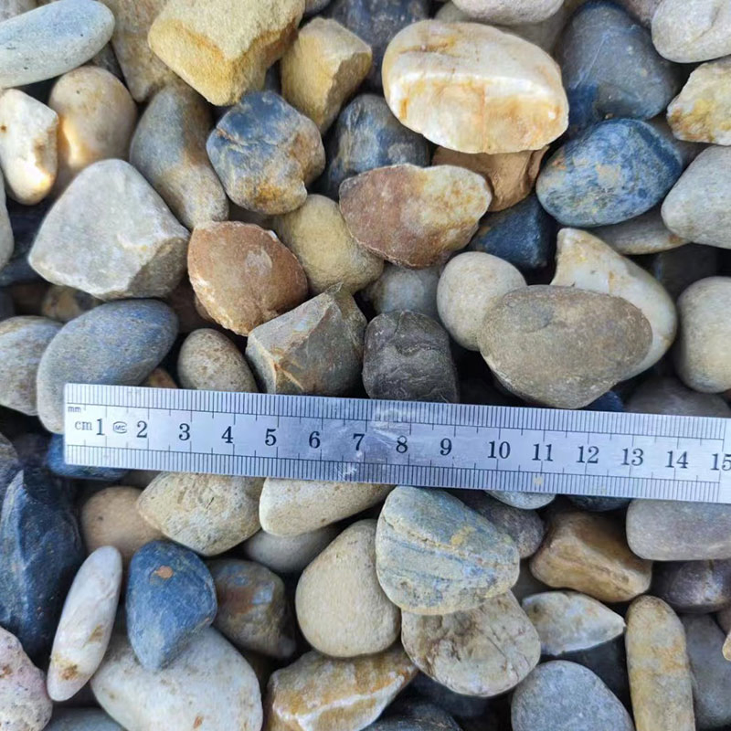 Muti Colors River Pebble Stone for Outdoor Garden Lanscaping/Paving Price