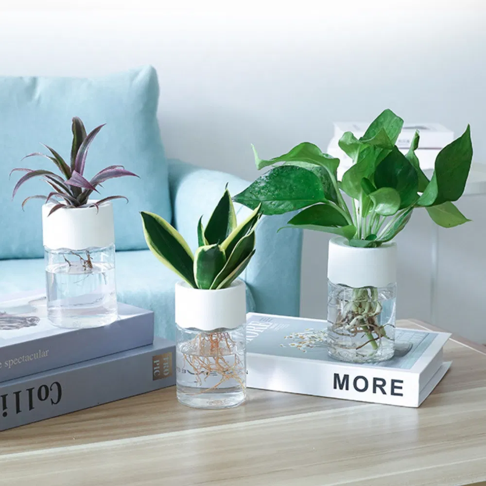 Self Watering Planters Pots 6 Inch Plant Pots, Modern Ci24864