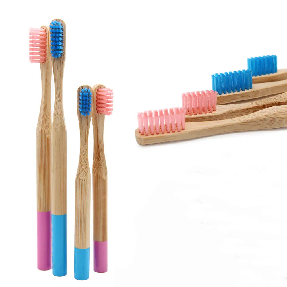 Biodegradable, Eco-Friendly and Sustainable Bamboo Toothbrush Travel Set with Bamboo Case
