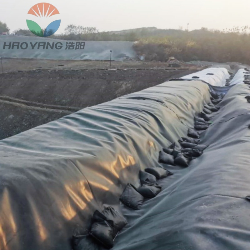 0.5mm/0.75mm/1.0mm/1.5mm/2.0mm ASTM GM13, PE Sheet, Waterproof, HDPE Geomembrane for Dam/Landfill/Lake/Agriculture Pond Liner, Manufacturer Price