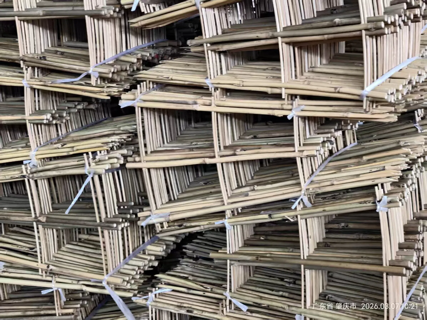 Bamboo Trellis U Bamboo Trellis Flowerstick Pole Cane Stack Bamboo