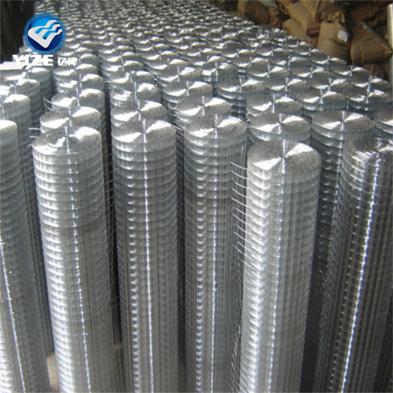 Wire Mesh Supplier Direct Galvanized Welded Wire Mesh Stainless Steel/PVC Coated