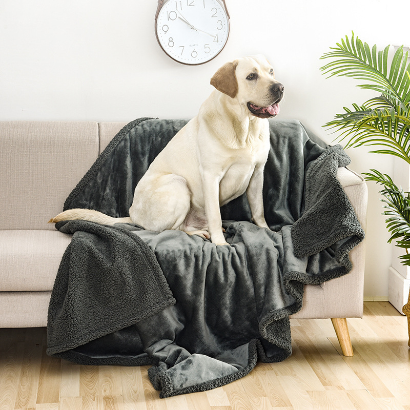 Premium Microfiber Pet Blanket/Pet Blanket in ISO9001/SGS at Competitive Cost for USA, UK, India, Iraq, Tanzania, Sudan, Malaysia, Philipines Pet Blanket
