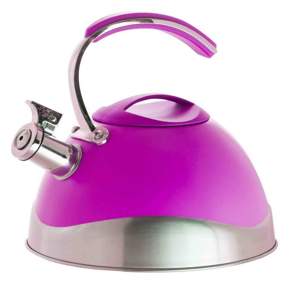 China Jiangmen Cooklady Modern Colorful Stainless Steel Whistling Kettle Housewares