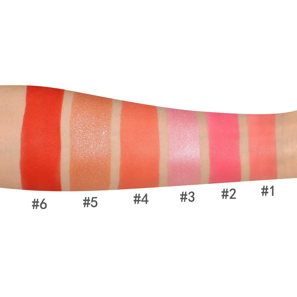Custom Makeup Palette 6 Colors Square Blush Palette Bronzer Highlighter Palette Blush Private Label